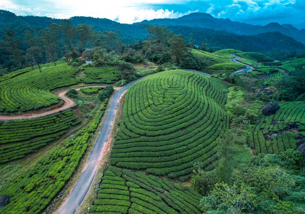 Tourist attractions near Munnar